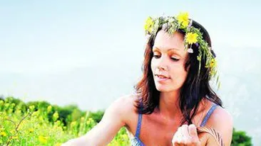 Daruieste flori de camp celor dragi pentru a avea noroc la bani