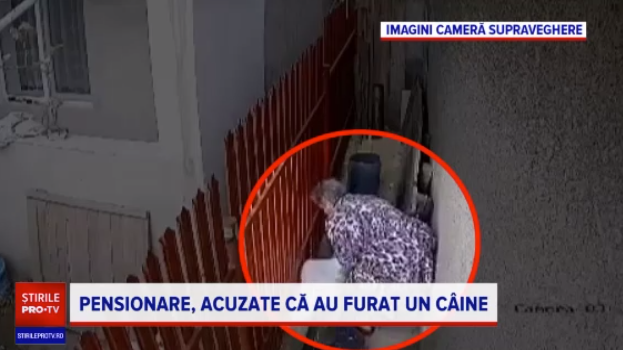 doua pensionare au rapit un catel