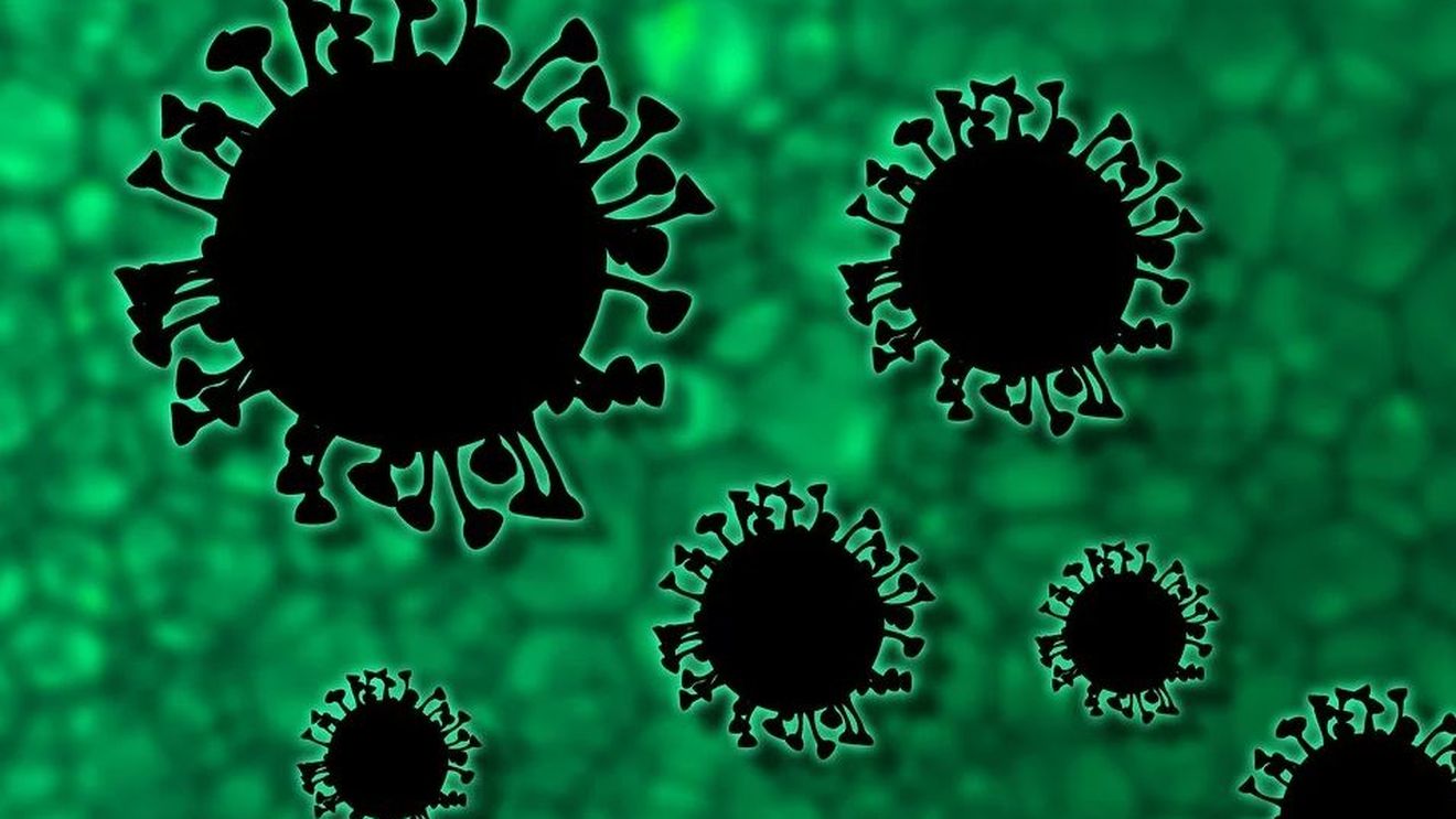 Coronavirus 5 iulie. Încă o zi cu un număr mare de cazuri. 391 români, depistați pozitiv în 24 de ore. Care este bilanțul deceselor