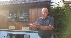 Galerie foto - poza 2