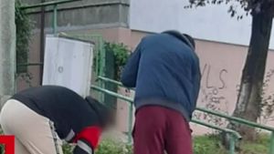 Ireal! Cum au fost puși la punct doi tineri care aruncau coji se semințe pe jos. Au primit amendă, dar și o lecție de bun simț