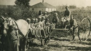 De ce erau slabi țăranii în 1895. Ce aliment consumau și de 3 ori pe zi