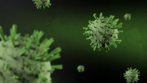 Ce amendă a primit Spitalul din Ștei, unde s-a descoperit primul caz de hantavirus. Normele sanitare nu au fost respectate