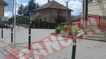 Stalpi in culorile Ungariei in Sovata