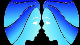 Tipologia zodiilor Gemeni