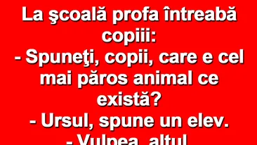 BANCUL ZILEI | Bulă, la școală: Care e cel mai păros animal?