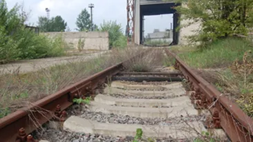 O femeie si un copil au murit dupa ce masina in care se aflau a fost lovita de un tren