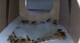 Galerie foto - poza 1