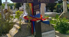 Galerie foto - poza 2