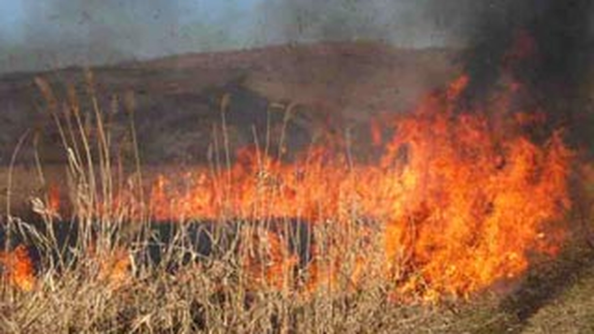 Incendiu de vegetatie in Masivul Bucegi, pe un teren care apartine Casei Regale