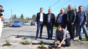Protest inedit. Mai mulţi primari din Vâlcea au plantat panseluţe în gropile dintr-un drum judeţean, nereparat de 40 de ani