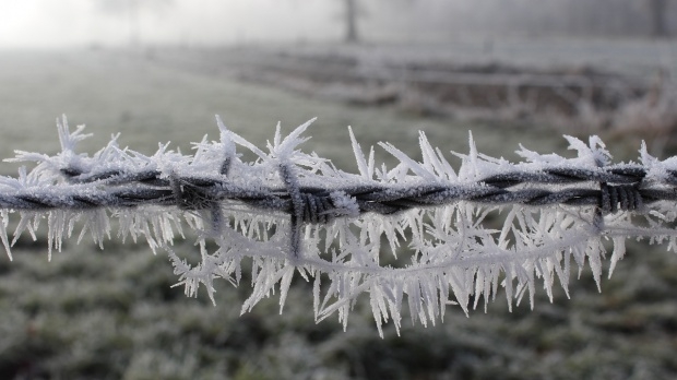 Valul de aer polar a intrat în România! Zona unde s-a așternut zăpada