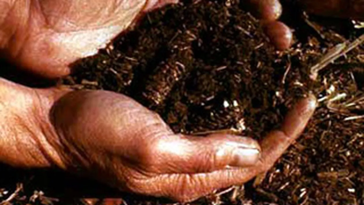 Dependenta stranie! O tanara mananca pamant zilnic, de zece ani!