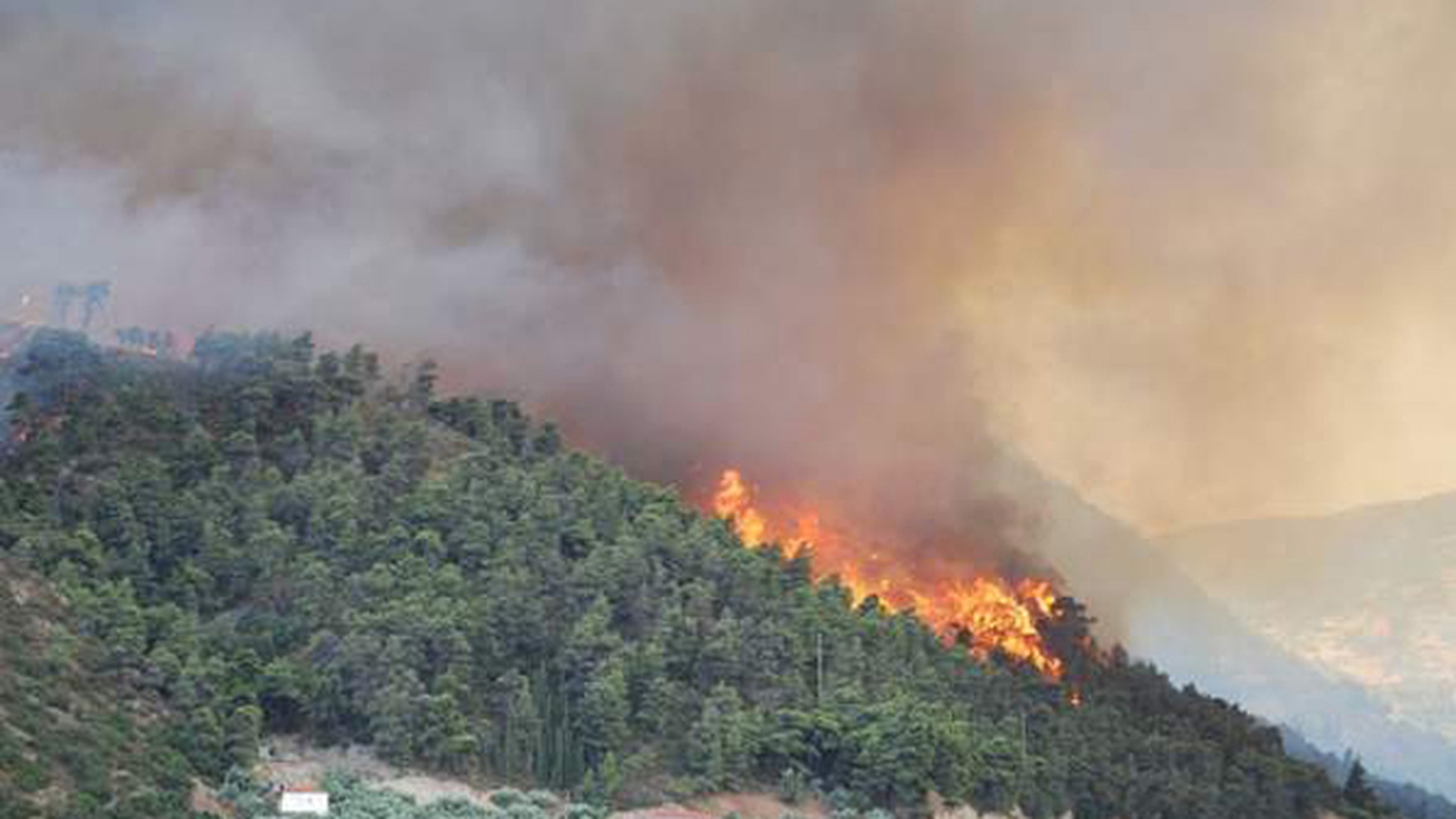 Un incendiu puternic a cuprins Muntele Rosu! Peste 150 de pompieri si silvicultori se lupta cu flacarile!