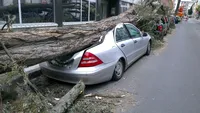 Ce pot face proprietarii de autoturisme care s-au ales cu pagube, după vântul puternic din ultimele zile