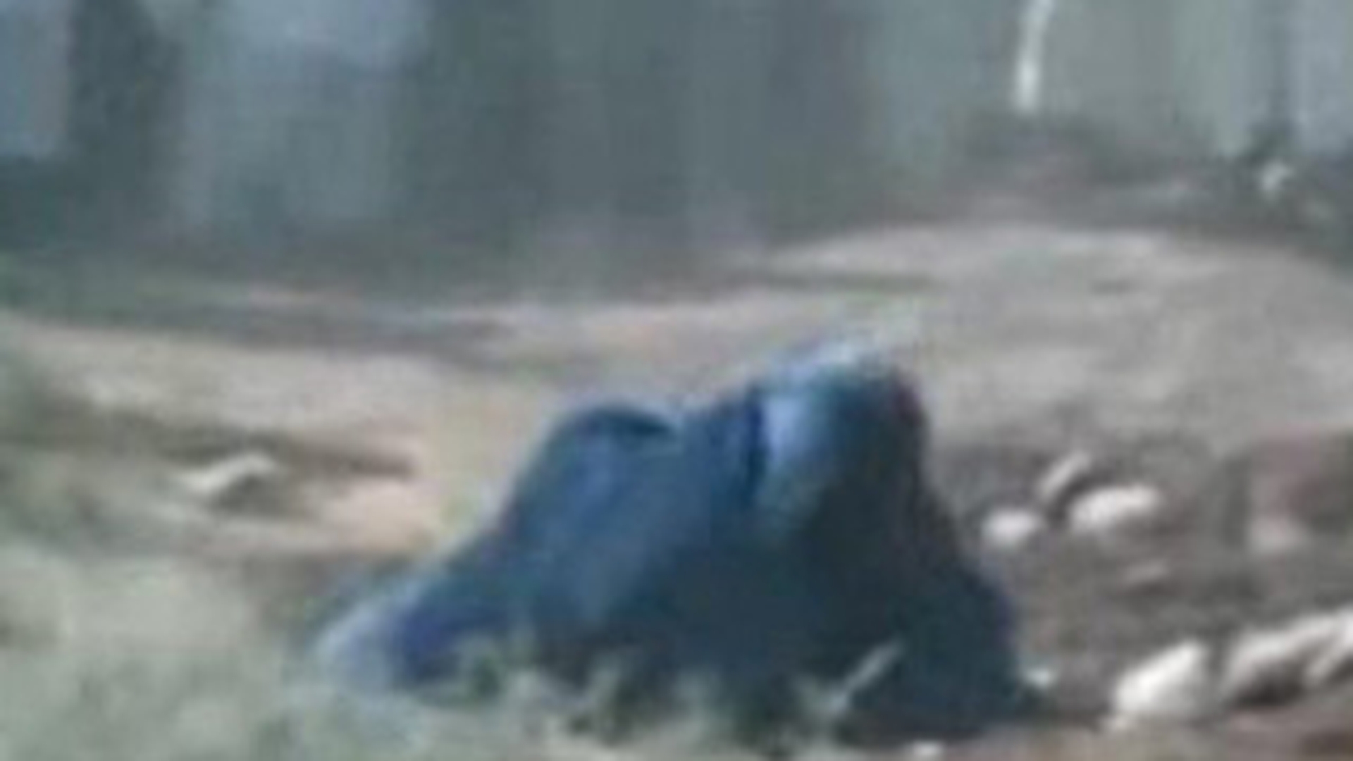 Un cuplu afgan a fost executat cu pietre pentru adulter