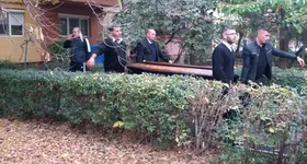 Galerie foto - poza 2