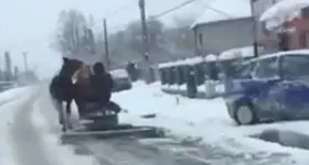 Galerie foto - poza 4