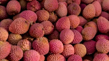 Litchii, fructele tropicale care previn îmbătrânirea. Cât costă un kilogram și ce beneficii îți aduc