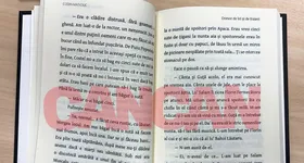 Galerie foto - poza 2