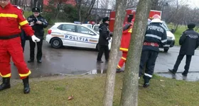 Galerie foto - poza 3