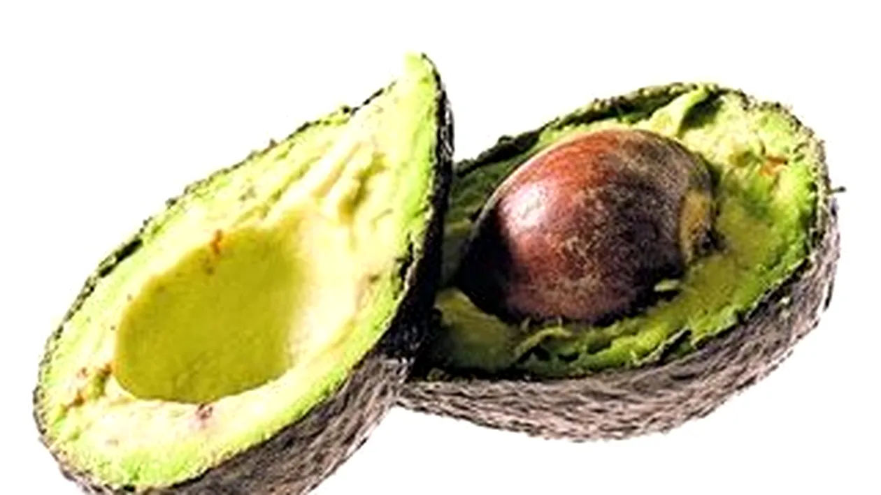 Avocado revigoreaza zona gatului