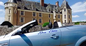 Galerie foto - poza 2