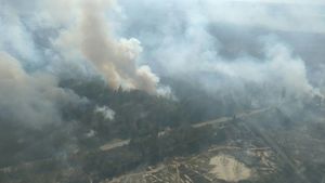 Incendiile de pădure de la Cernobîl persistă de aproape trei săptămâni! Peste 1.200 de pompieri luptă cu focul. Care sunt temerile experţilor de mediu