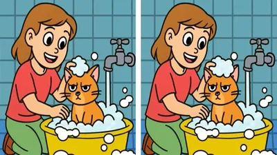TEST IQ | Aceste două imagini par identice, dar nu sunt. Găsiți 3 diferențe în 33 de secunde!