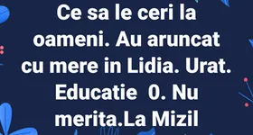 Galerie foto - poza 2