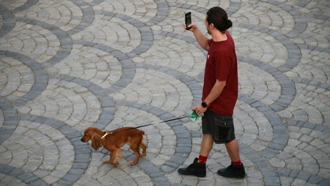 De ce a interzis Iranul plimbatul câinilor în spațiile publice. Acum autoritățile extind măsura