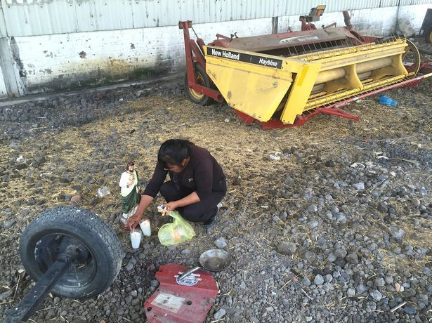 Poliţia din Mexic a atacat o bază a traficanţilor de droguri! AU MURIT 43 de persoane