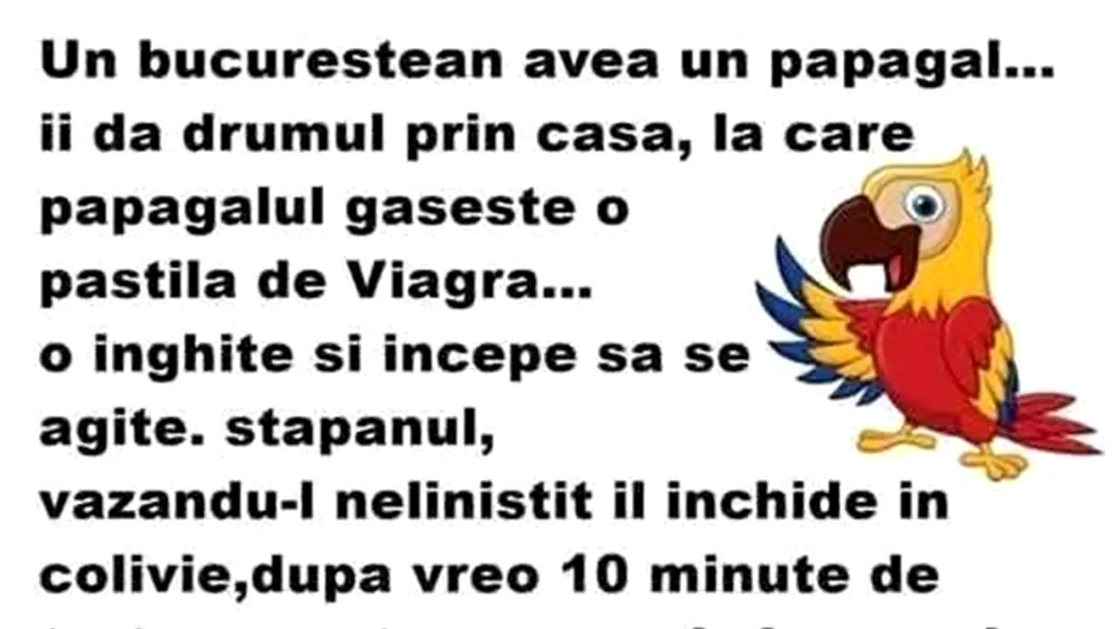 BANCUL ZILEI | Un bucureștean avea un papagal