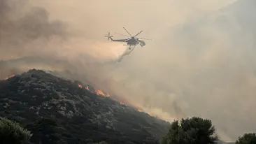 Atena, în pericol! Incendii majore lângă capitala Greciei: zeci de turiști au fost salvați din calea flăcărilor