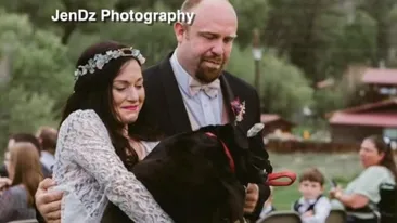 Povestea dureroasă a lui Charlie Bear, câinele care nu a putut să-și dea duhul înainte de a-și vedea stăpâna în rochie de mireasă