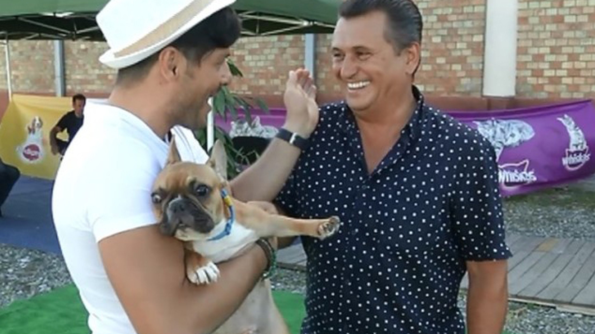 “Îl dau în judecata!” LIVIU VÂRCIU, bătut de nea MARIN! Iubita lui ŞTEFAN BĂNICĂ era de faţă