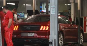 Galerie foto - poza 1