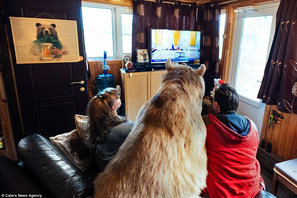 Un cuplu din Rusia locuieşte c-un urs! FOTO incredibile cu STEPAN, ursul care stă cu ei până şi la masă