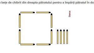 Cel mai greu test IQ, cu beţe de chibrituri. Doar cei mai inteligenţi oameni din lume îl pot rezolva