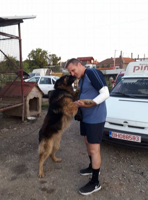 Câinele, pe care inclusiv proprietarul îl ştia agresiv, a sărit să îl lingă pe faţă pe pompierul care l-a scos din foc