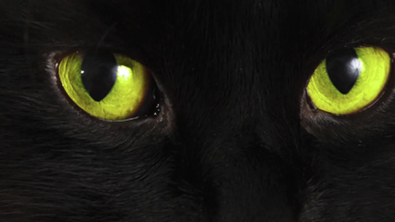 Pentru studenti sunt de aur! Superstitiile care te ajuta sa iei note bune la examene!