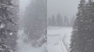 Locul din România unde a nins ca în poveşti. Iarnă la mijloc de martie. VIDEO