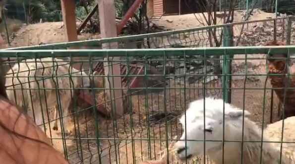 Horia Brenciu, scuipat în public! Copiii lui au fost martori la incident: “Mamă! Mamă!”