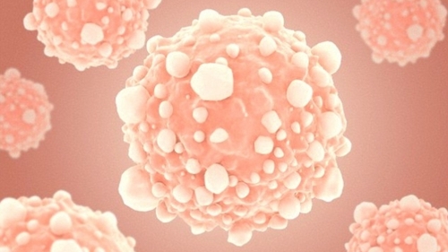 REVOLUŢIONAR. Cercetătorii au descoperit un element foarte important în tratarea cancerului 