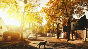 Satul în care toți cei 6.000 de locuitori stau pe aceeași stradă. Imaginea a devenit virală în întreaga lume