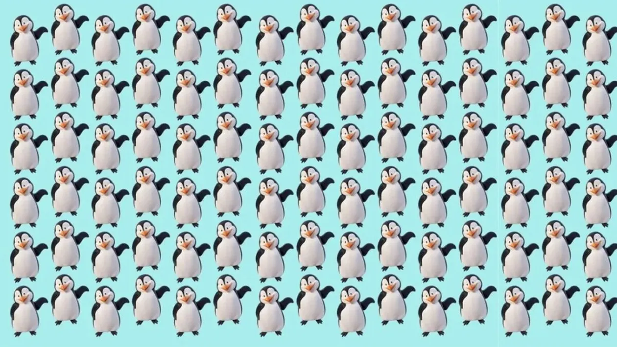 Test de logică | Găsiți singurul pinguin care nu seamănă cu ceilalți!