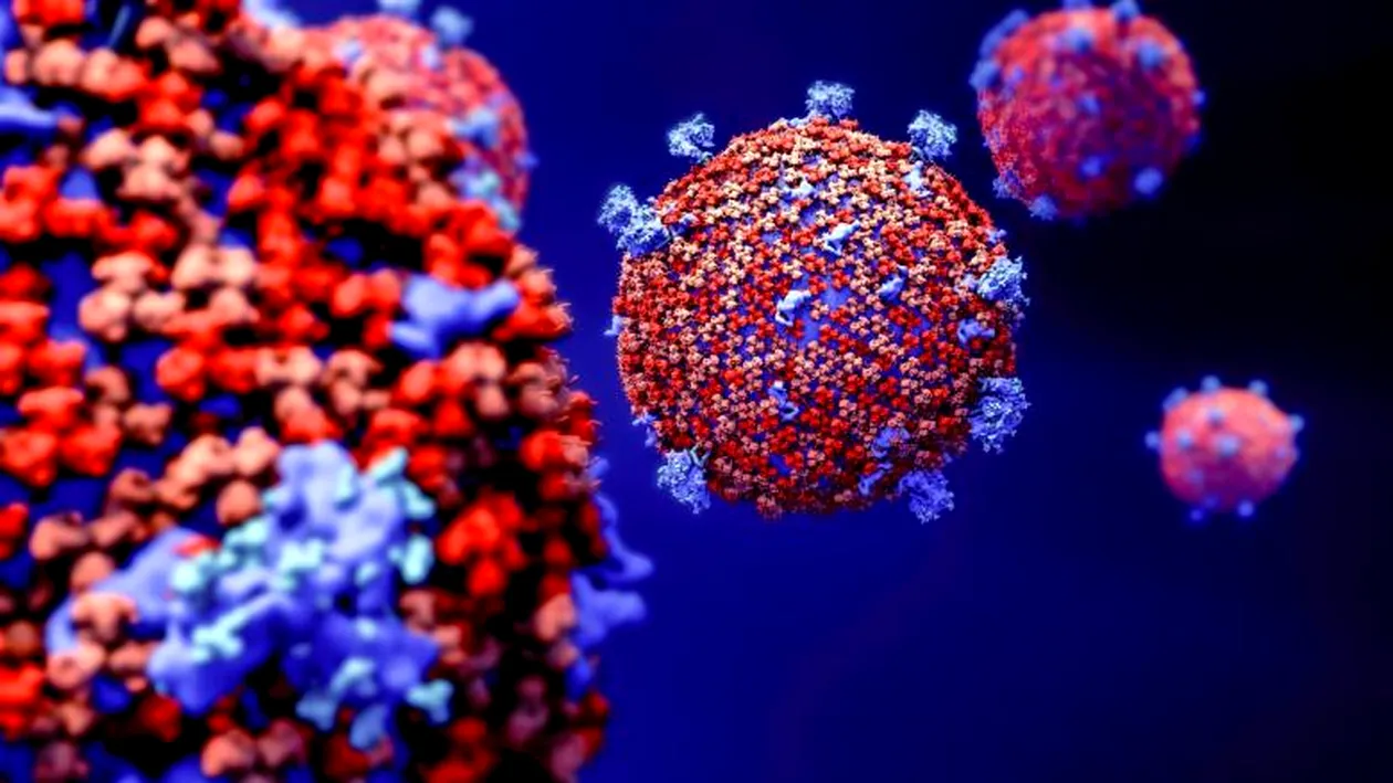 Studiu îngrijorător! Noul coronavirus a suferit mutații, iar tulpina din Europa e mult mai contagioasă în prezent