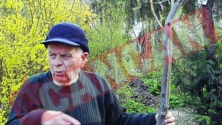 Un fost silvicultor si-a facut gradina botanica in fata blocului