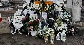 Galerie foto - poza 3