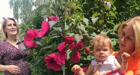 Galerie foto - poza 2